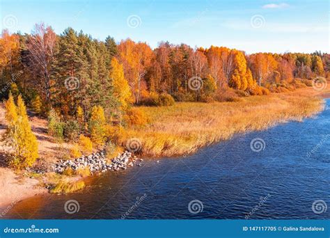 Bank Of The River With Stones On The Edge Of A Sunny Autumn Day Stock