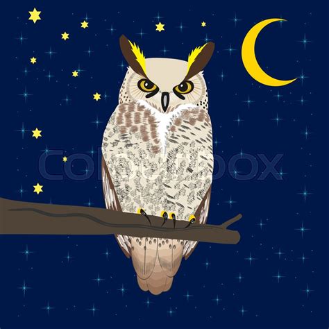 Owl Sits On A Tree Branch Under The Stock Vector Colourbox
