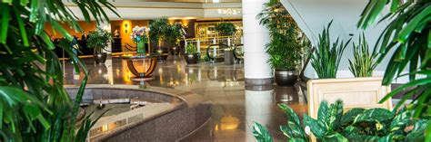 Biological pest management for interiorscape plantings. Interior Plantscape Pest Control - Kentucky Pesticide ...