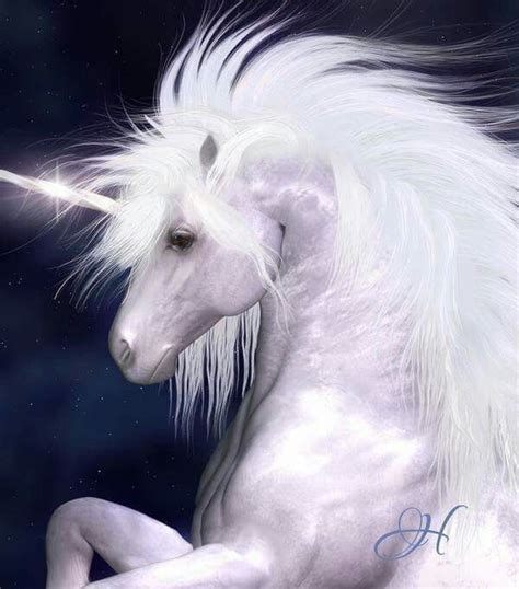 Wish Unicorns Were Real Beautiful Unicorn Fantasy