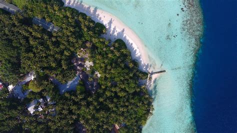 Biyadhoo Island Resort Maldives Compare Hotel Rates