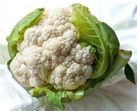 Plays With Her Food Cauliflower Unfairly Maligned