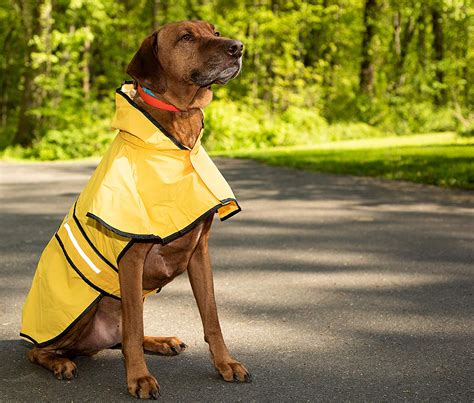Светоотражающая куче дъждобран водоустойчив куче жилетка пат с качулка ...