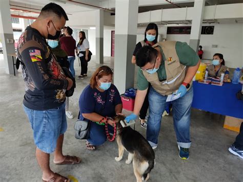 Vaksin akan diberikan kepada petugas pelayanan publik yang terlibat secara langsung memberikan pelayanan kepada masyarakat. Punca Utama Kepada Penyebaran Virus Rabbies Dibawa Oleh ...