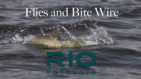Pike Flies And Bite Wire Fly Fishing Tip Youtube