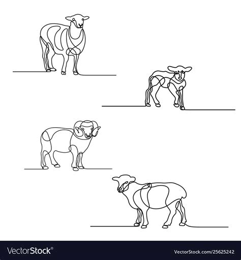 Continuous Line Drawing Set Sheeps Design Vector Image