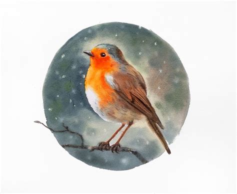 Original Watercolour Robin Bird Painting | Artfinder