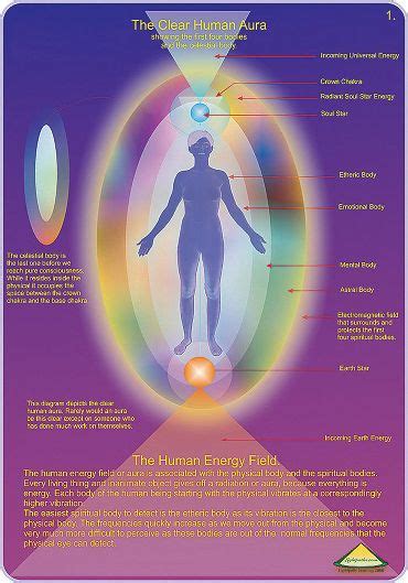 The Human Aura And Energy Field Universal Energy Pinterest Auras