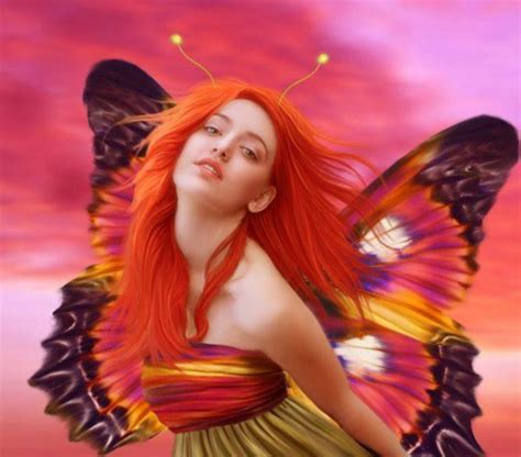 Bright Butterfly Fairy Download Hd Wallpapers And Free Images