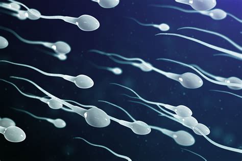 Male Fertility Treatments And Sperm Retrieval Process Scrc