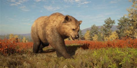 Eurasian Brown Bear Thehunter Call Of The Wild Wiki Fandom