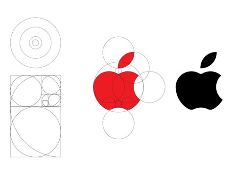 How To Draw Apple Logo Using Golden Ratio