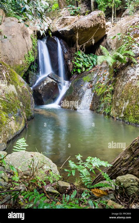 Waterfall From Ravine In The Rainforest Stock Photo Alamy