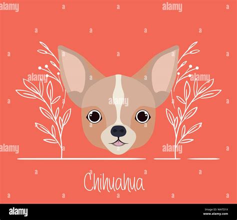 Cute Chihuahua Dog Pet Head Character Stock Vector Image And Art Alamy