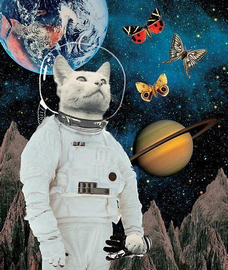 A Space Cat Astronaut And Butterflies A Curious Space Cat Astronaut