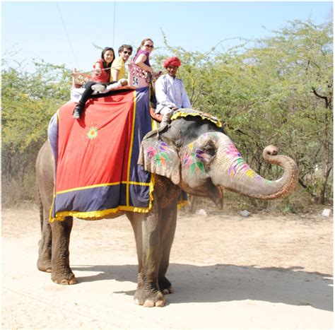 Elephant Safari In Corbett Jungle Tours 209926holiday Packages To