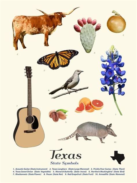 Texas State Symbols Typology Texas Art Texas Poster Texas Wall