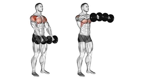 20 Lateral Raise Exercises For Building Broad Shoulders