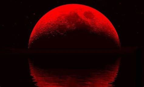 Khu vực phía tây bắc mỹ, nam mỹ và đông á sẽ là những nơi có góc nhìn đẹp nhất và chiêm ngưỡng được toàn cảnh hiện tượng thiên văn này. Chiêm ngưỡng hiện tượng "trăng máu" vào ngày 8/10 - Thông ...