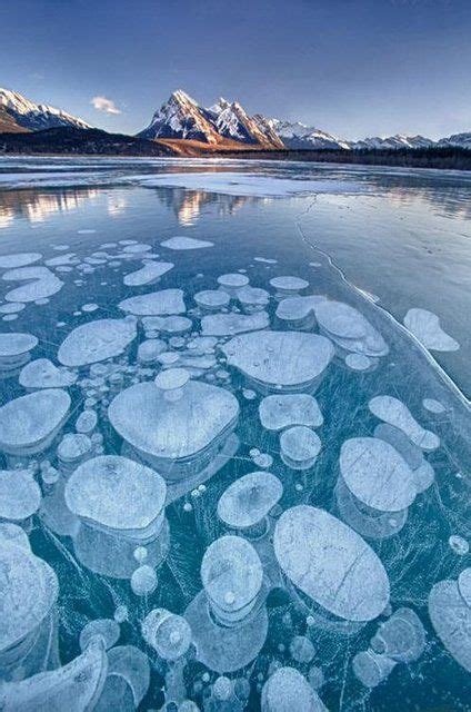 Ice Bubble~abraham Lake Alberta Canada Beautiful Nature Abraham