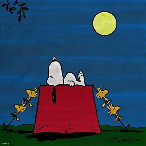 Snoopy And Woodstock Good Night Snoopy Sleeping Snoopy Pictures Snoopy