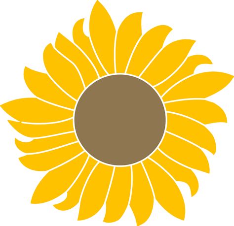 5176 Realistic High Resolution Sunflower Svg Svg Png Eps Dxf File