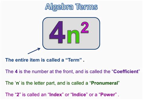 Algebra Terms And Expressions Passys World Of Mathematics