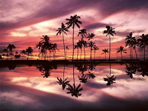 Sunset Over The Ala Moana Beach Park Honolulu Oahu Hawaii
