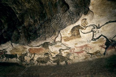 Lascaux Ii Cave Painting Replica Stock Image C0137378 Science