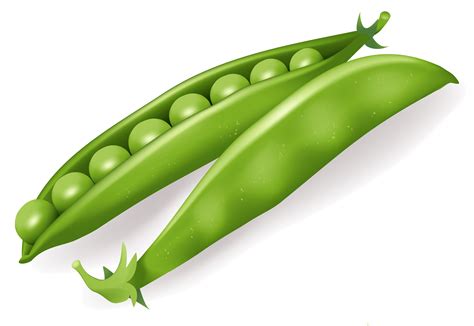 Two Green Peas On A White Background