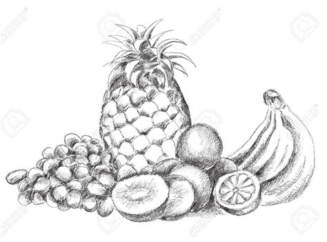 Gambar mekar hitam dan putih menanam frambos buah manis. Sketsa Gambar Mewarnai Buah Buahan Hitam Putih Anak TK ...