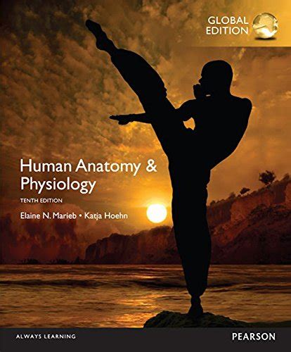Human Anatomy And Physiology 10th Edition Global Pdf Geturebook