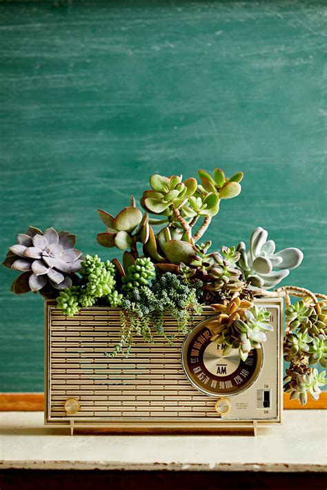 14 Upcycled Succulent Containers From Thrift Store And