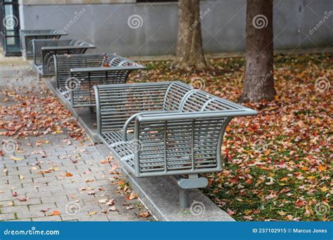Gray Steel Benches In The Park Surrounded By Fallen Autumn Leaves And