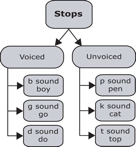 Introduction To Stops — Pronuncian American English Pronunciation