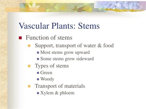 Ppt Plants Structure And Function Powerpoint Presentation Free