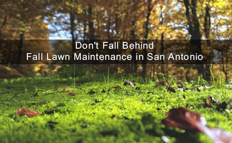 Fall Lawn Maintenance In San Antonio Hill Horticulture