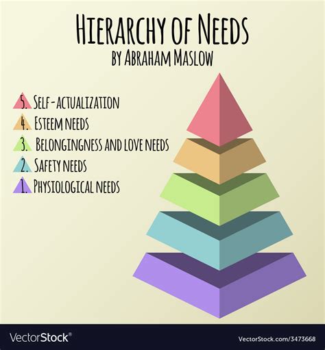Hierarchy Of Human Needs By Abraham Maslow Vector Image