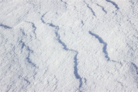 White Snow Covered The Ground In Winter Stock Image Image Of Lines