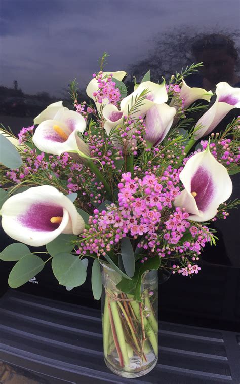 Precious Purple Calla Lilies In Milwaukee WI Erica S Blooming