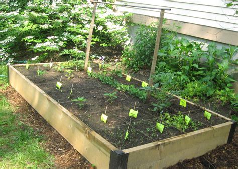 Of course i encourage you to branch out. 20 Vegetable garden box ideas for 2018 | Interior ...