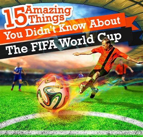 15 Amazing Things You Didnt Know About The Fifa World Cup Infographic