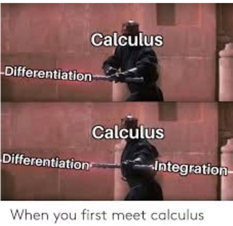 Calculus Memes