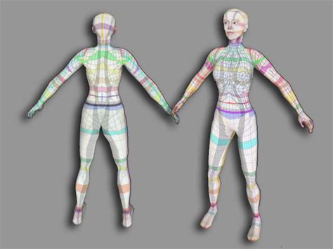 Avatar Uv Texture Templates For Use In Linden Labs Second Life