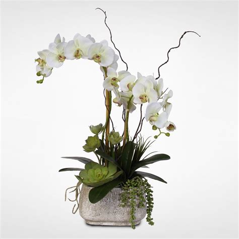Succulent Wedding Centerpieces Orchid Centerpieces Silk Orchids Arrangements Succulent