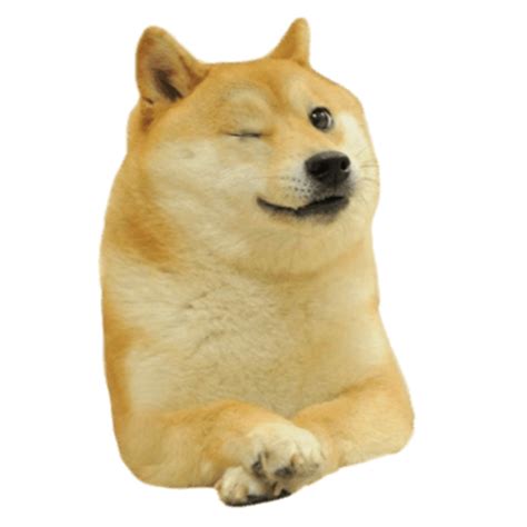 Le Winking Doge Rdogelore Ironic Doge Memes Know Your Meme