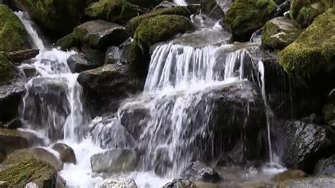 5 Minutes Relaxing Waterfall Sound Ll Nature Sounds Youtube
