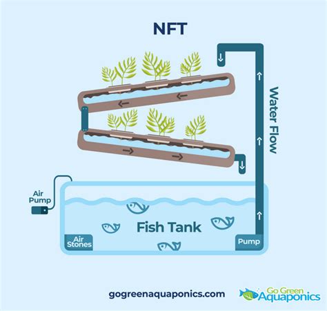 What Is The Nutrient Film Technique Nft In Aquaponics Go Green