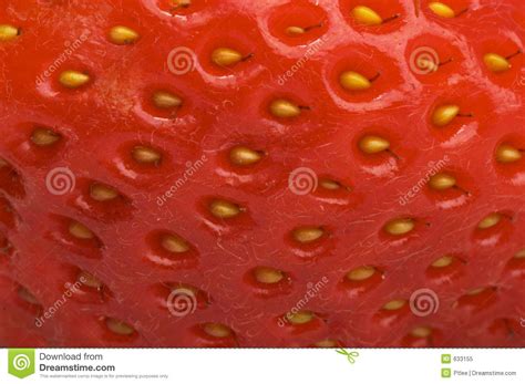 Strawberry Closeup Stock Image Image Of Desserts Macro 633155