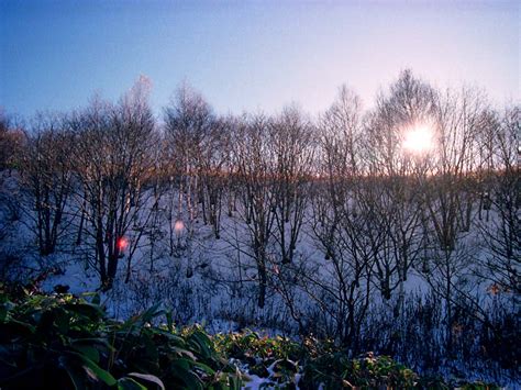 ゆんフリー写真素材集 No 316 初冬の森の太陽 日本 長野
